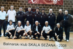 skala-2008